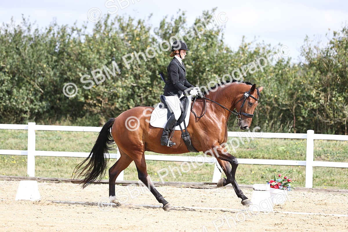 SBM_016172 - Class 14 - Novice 23 - 10.29-11.32