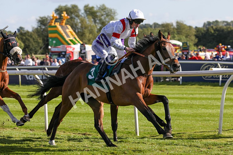 080624-Race 7-Starshine Legend-5109 - Race 7