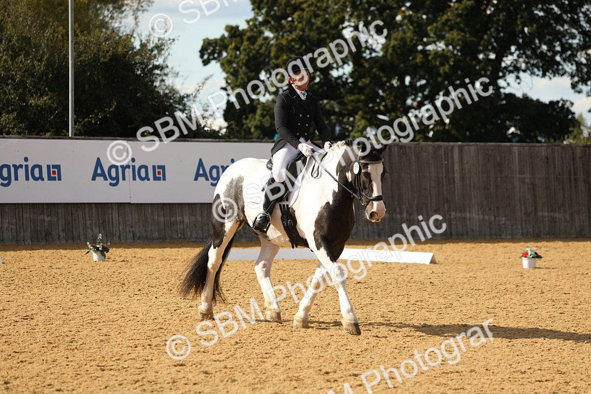 SBM_26681 - D17 - Grand Tour Championship - Novice 27