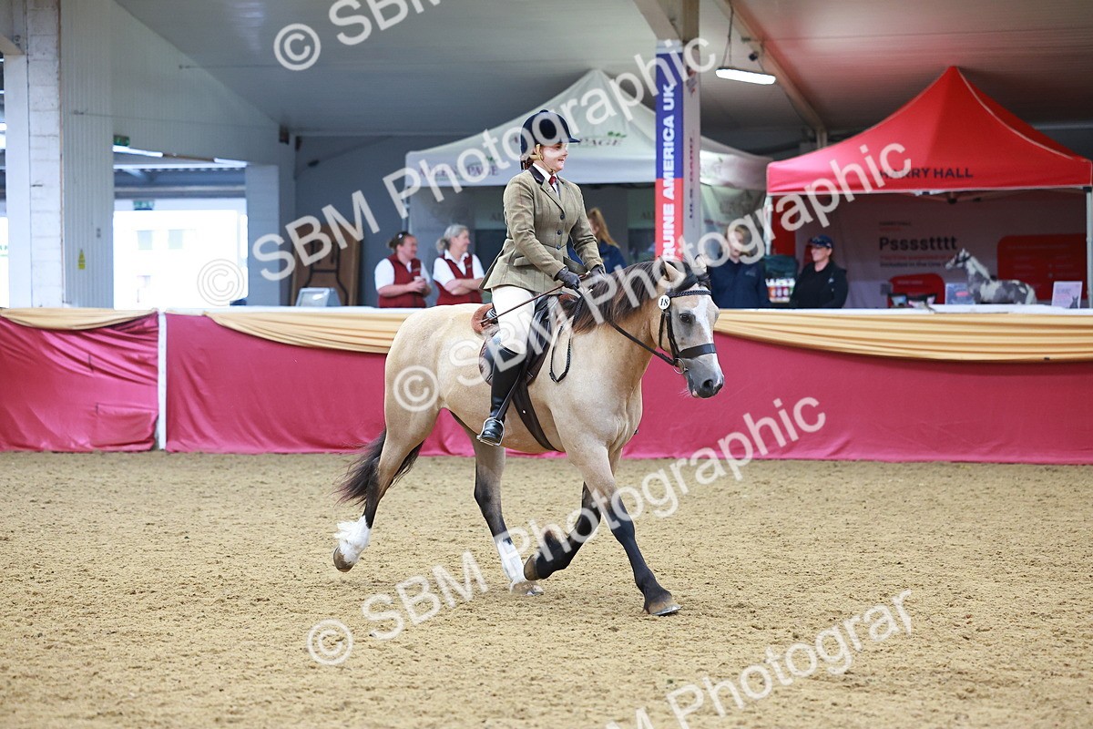 SBM_06241 - Class 12R - Ridden Pre-Vet