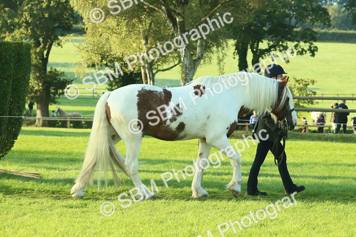 SBM_57323 - S37 - Starters In Hand Showing