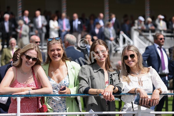 yr10062022r2-13 - Race 2 2.30pm SKF Rous Selling Stakes