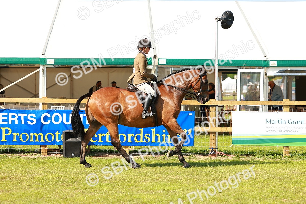 SBM_12038 - Class 66-69 - RIHS Ridden Hunters Inc Small Hunter