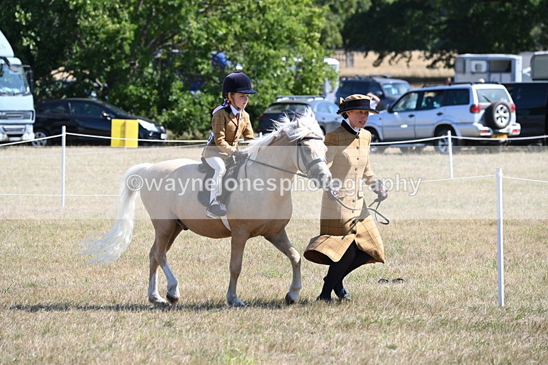 WJ6_7742 - Class 36 Lead Rein