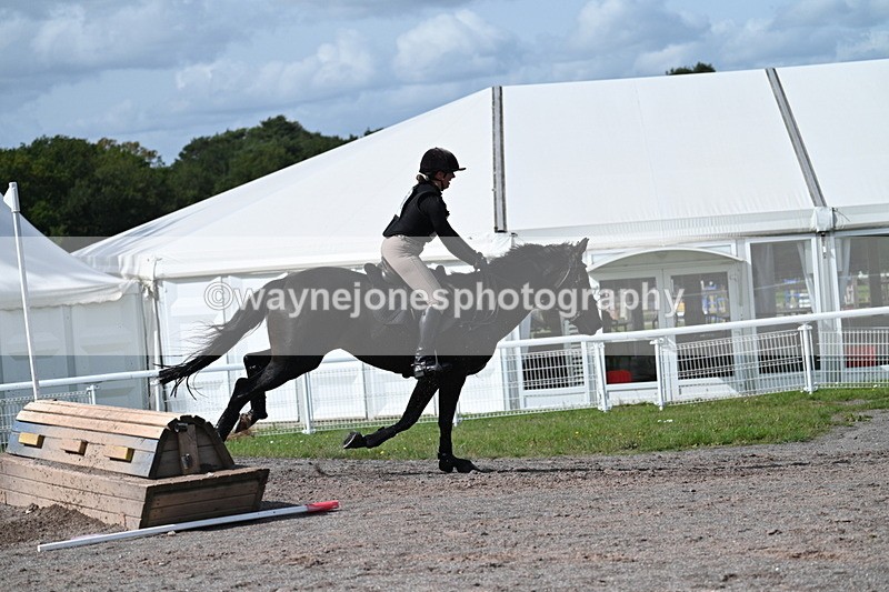 WJ7_2239 - Time 13:17 to 13:53