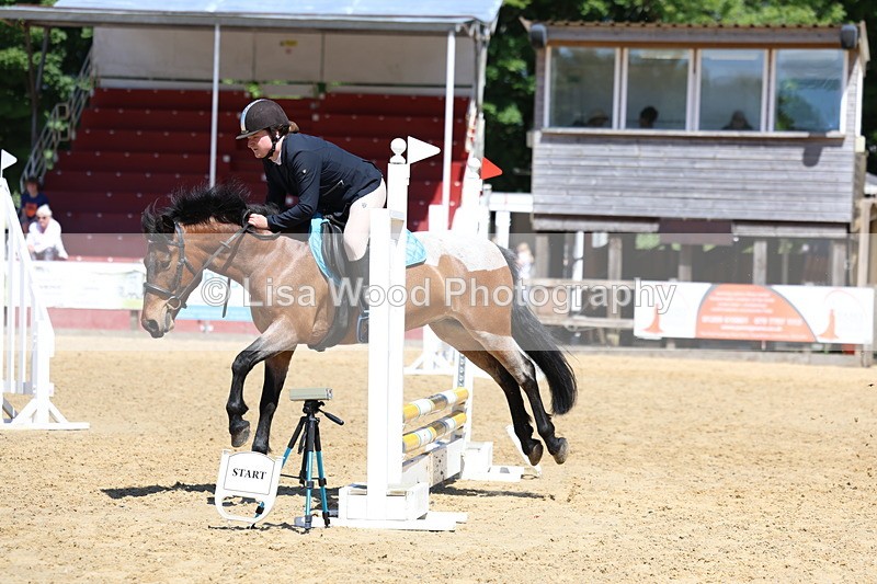 3E7A2635 - Class 4/5: 60cm Open Teams and Individuals