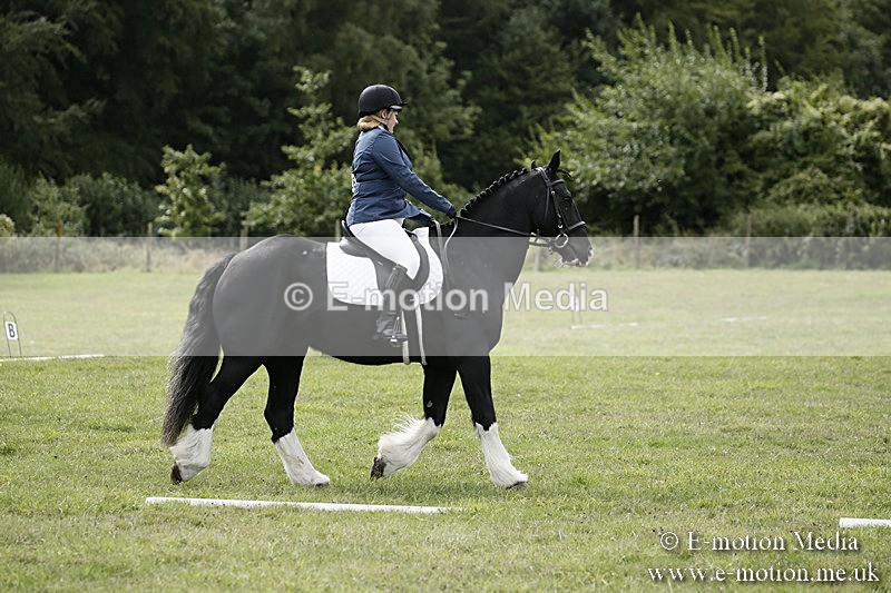 BVR080918 150 - BVRC Novice Dressage & CR 08/09/18