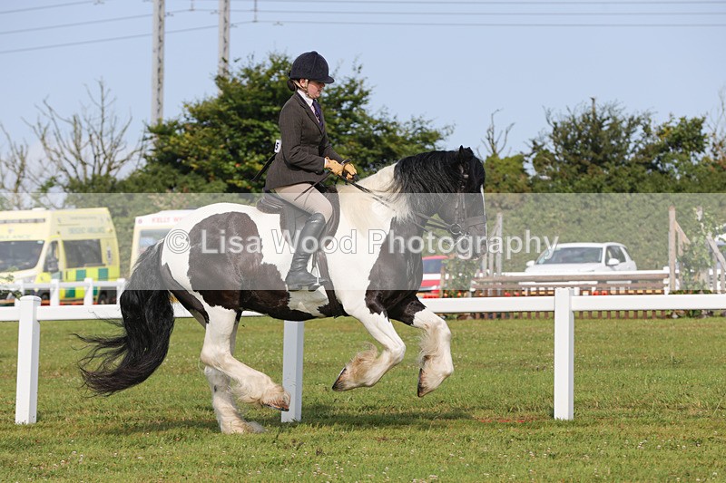 1X9A3162 - Class 27:  Ridden Native/Trad Coloured Horse