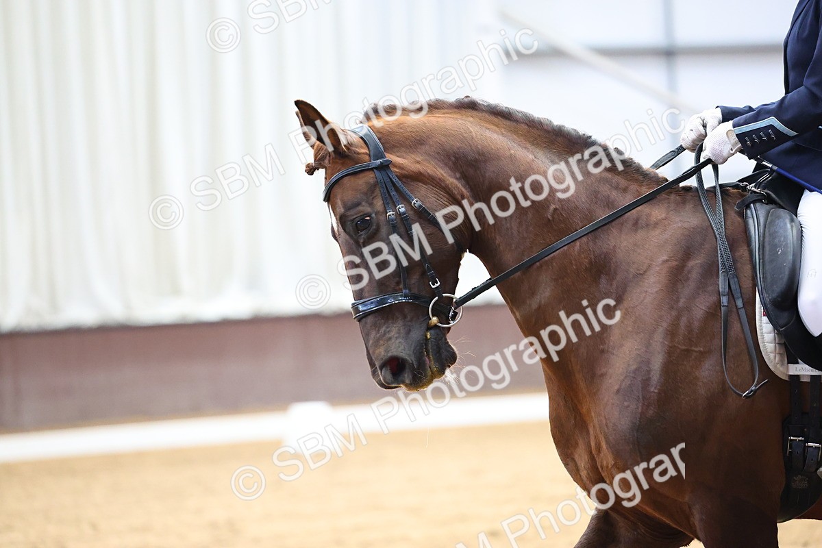 SBM_007898 - Class 21 - Medium 5