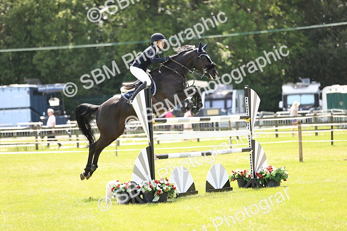SBM_03970 - Class 201 - British Horse Feedds Speedi Beet HOYS Grade C