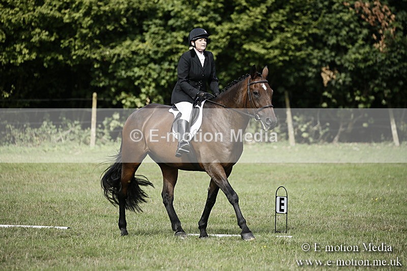 BVR090918 157 - BVRC Dressage and Show Jumping 09/09/18