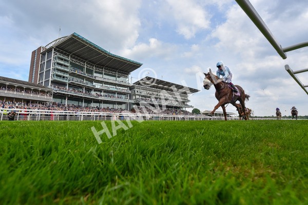 170524-Race 4-Giavellotto-6263 - Race 4 3.45pm Boodles Yorkshire Cup Stakes