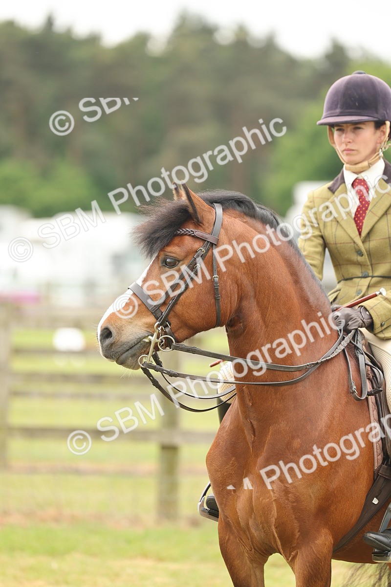 SBM_07225 - Class 76-77 - Ridden M&M Welsh Ponies