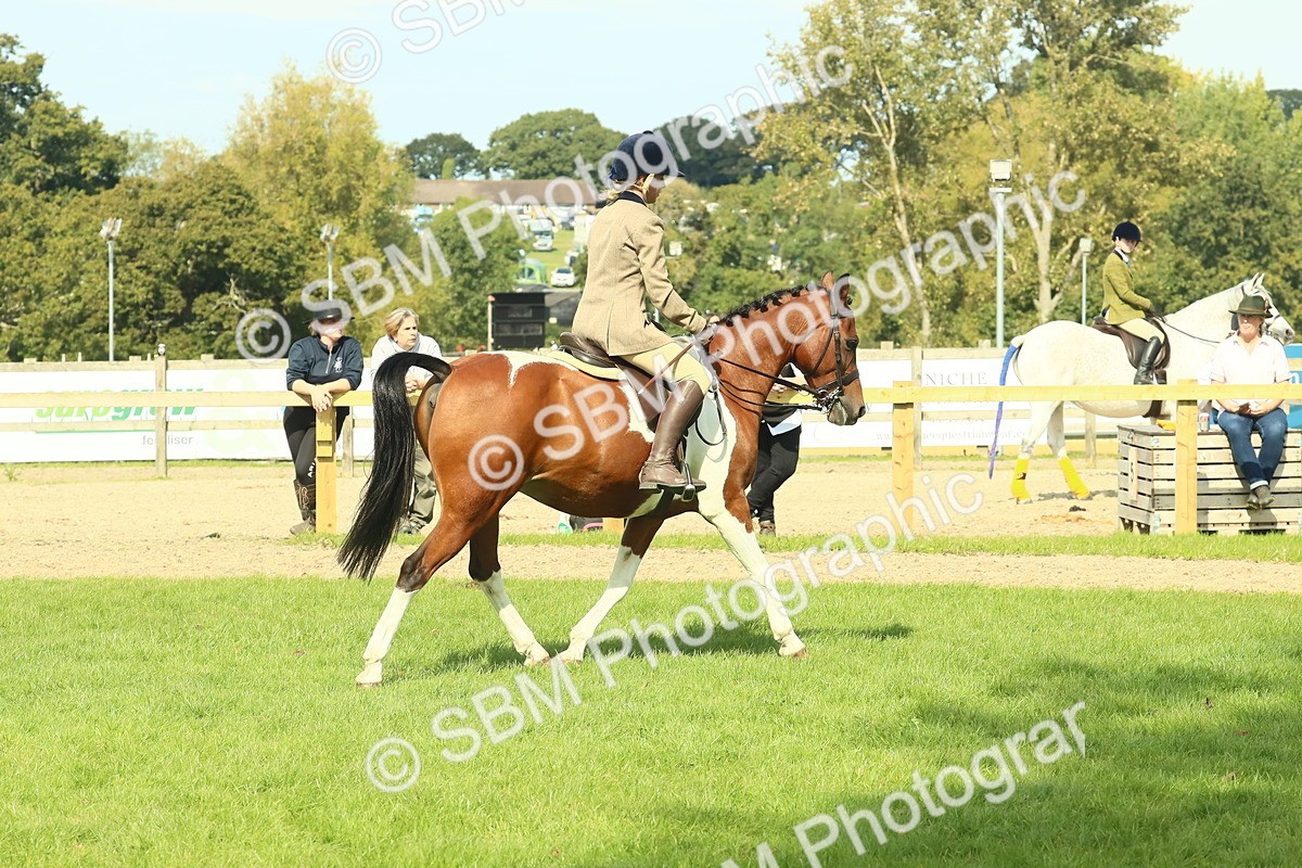 SBM_67481 - S56 - Coloured Pony Ridden