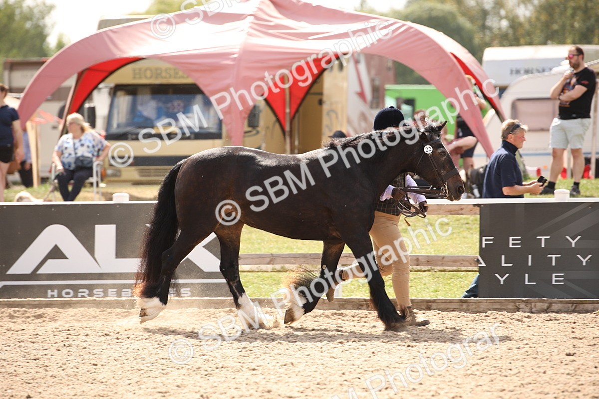 SBM_04548 - Class 20 IH Veteran