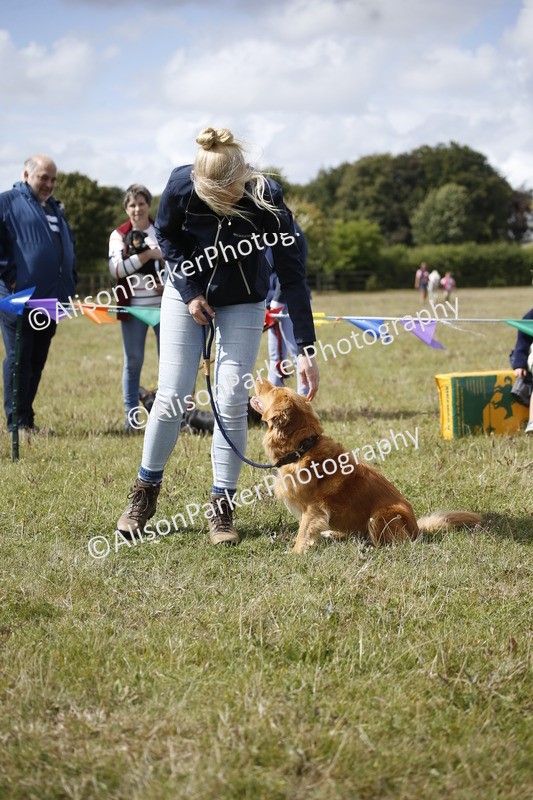 20250831-3665 - Dog Show