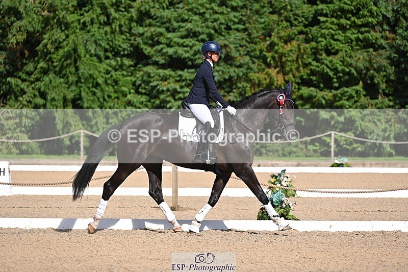 240809-163644-02437 - Novice Gold