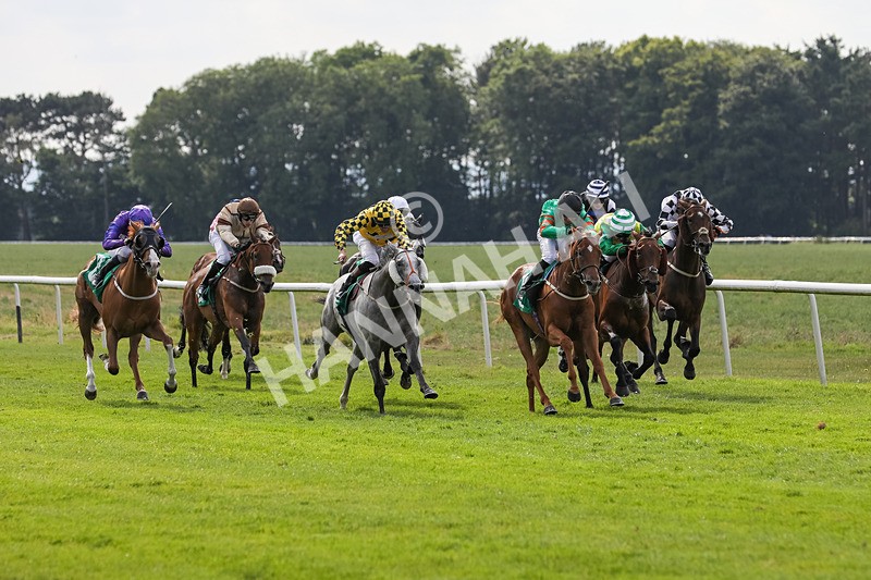 240624-Race 6-Profiteer-0417 - Race 6