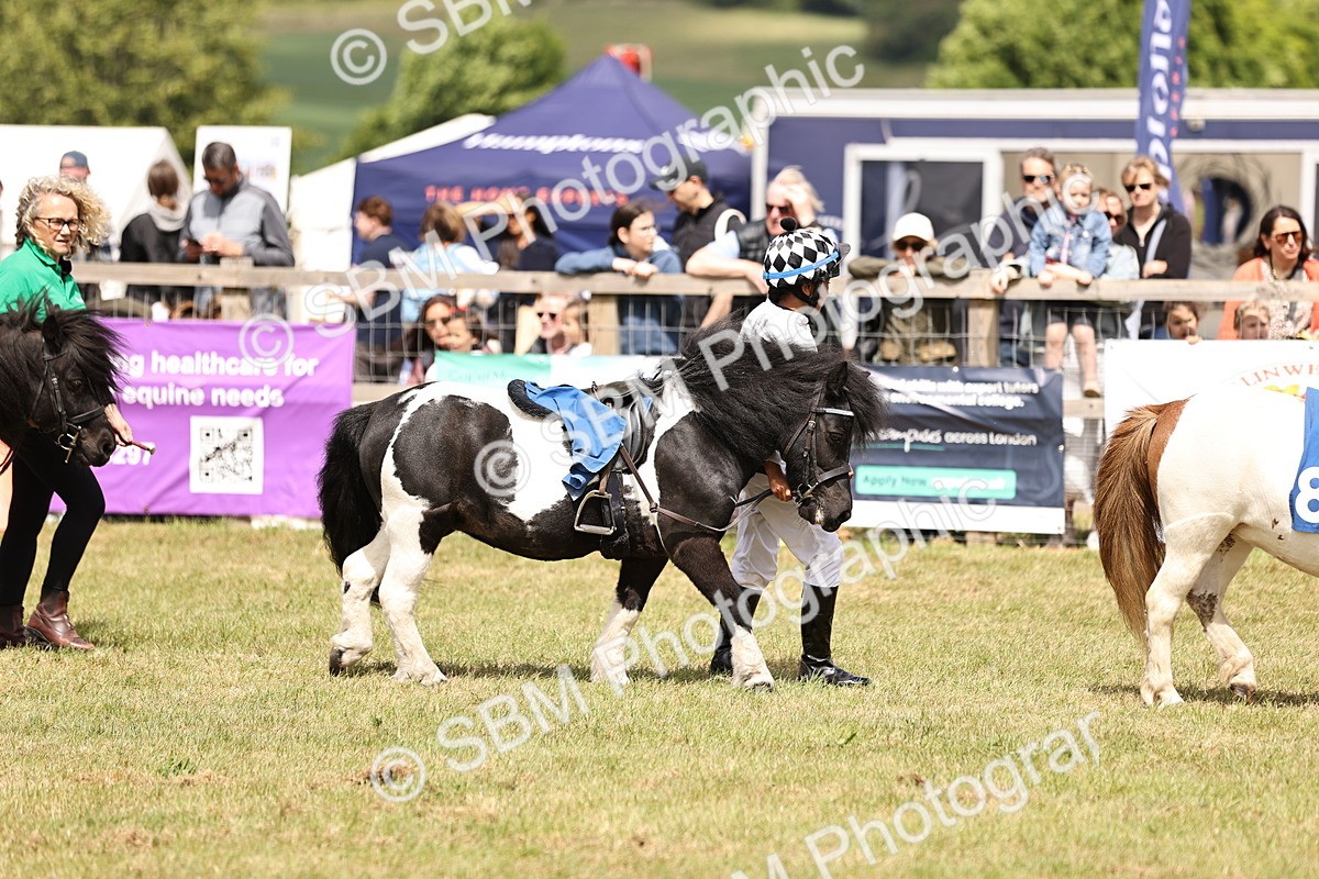 SBM_16398 - Dinky Derby