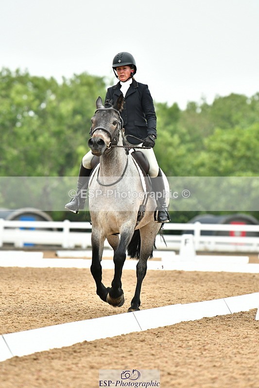 230708A-110016-02464 - Prelim 13