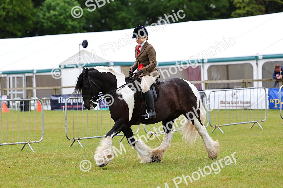 SBM_02655 - Class 9-11 Side Saddle including LIHS Rising Star Ladies Show Horse