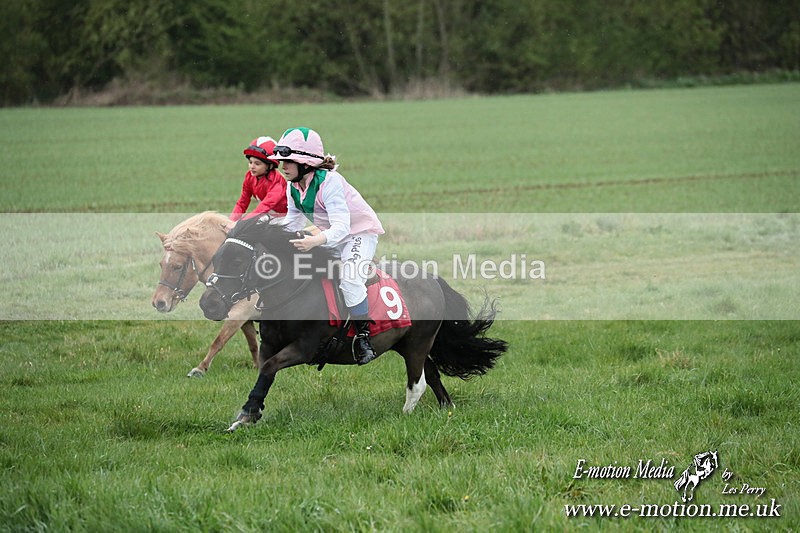 SHETPR 210425 198 - Shetland Ponies Paxford Races 21/04/25