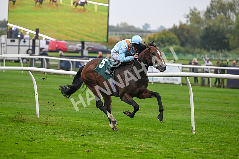 181025-Race 7-Lexington Blitz-1382 - Race 7