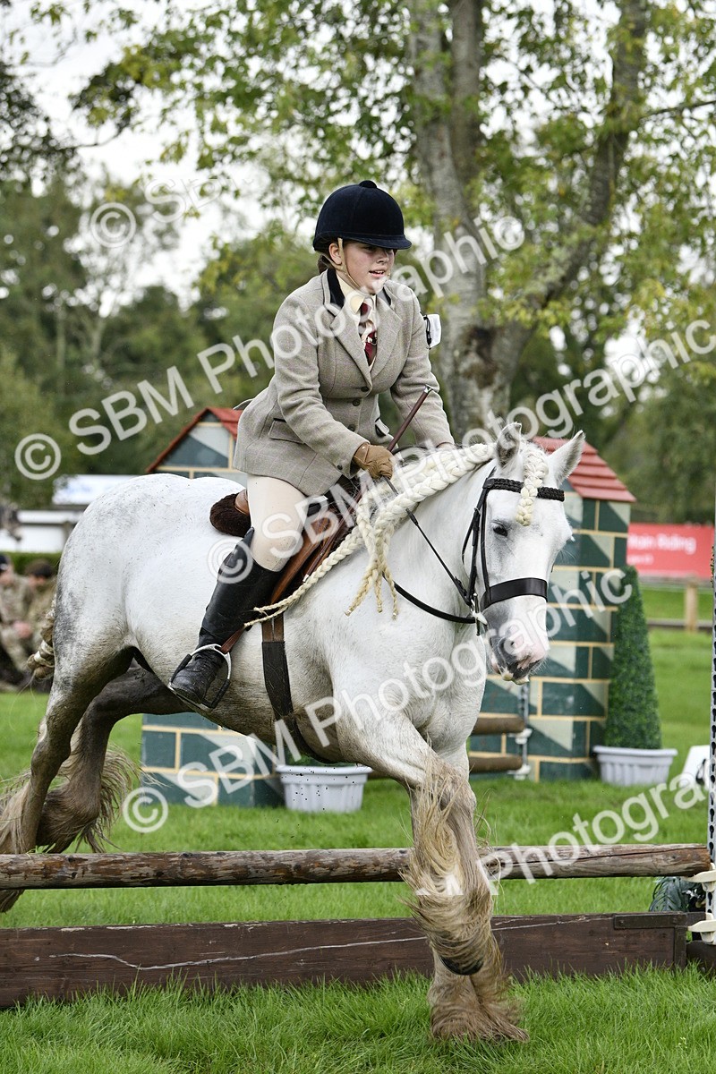 SBM_41545 - S32 - Mountain & Moorland Working Hunter Pony