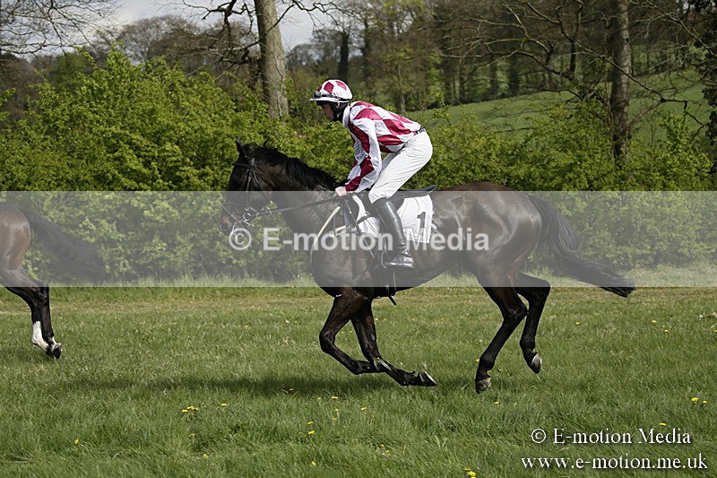 PtP 170417 247 - Old Berks Point-to-Point Lockinge 17/04/17