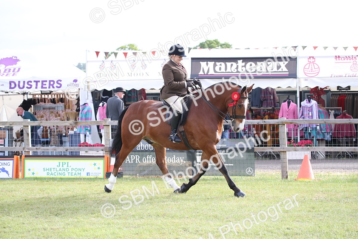 SBM_11169 - Class 92-93 - LIHS BSHA Rising Star Cobs