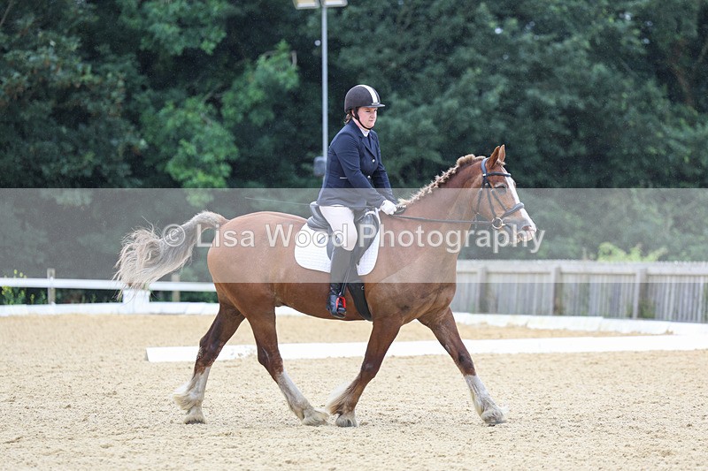 3E7A4765 - Class 1: Intro 4 2024 section A