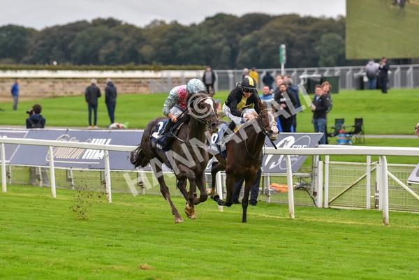 131023-Race 2-Lordship-9192 - Race 2 2.40pm William Hill Finale Handicap