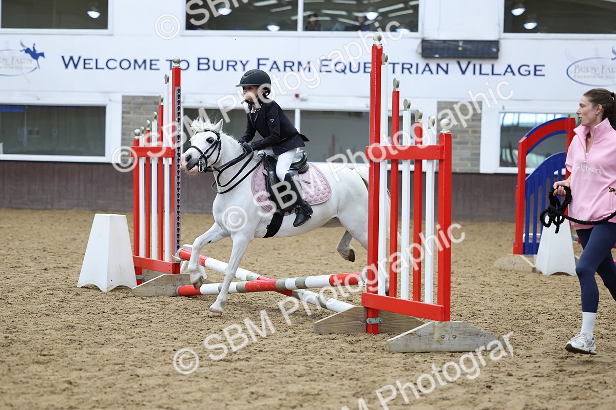 SBM_006954 - Class 1 - 40cm showjumping