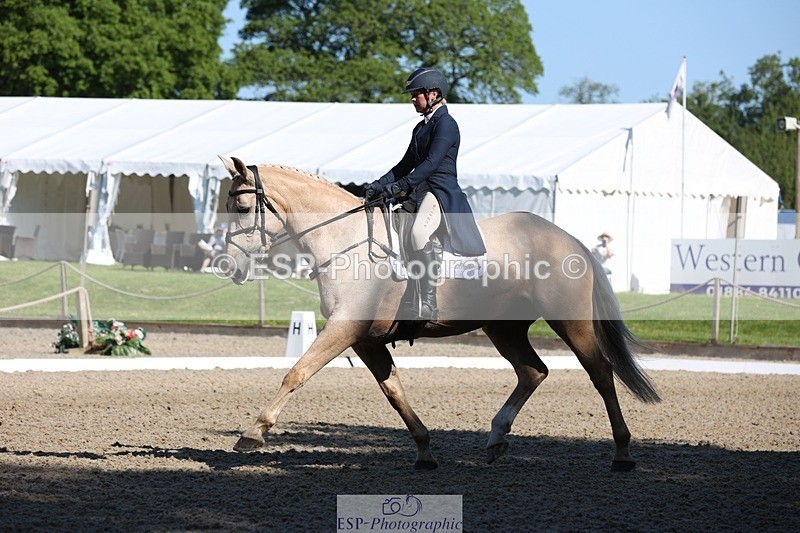 230526-093452-05102 - 356-THE_DUMB_BLONDE-Kat_Raybould-WEDTrotUp+DR