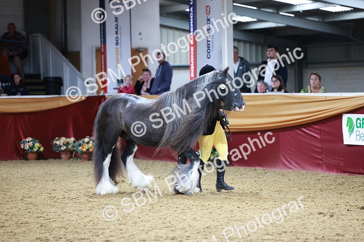 SBM_20101 - Class C - Novalty Champ