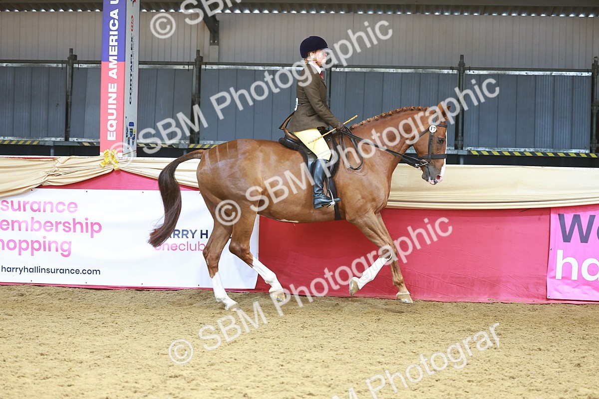 SBM_12456 - Class 103 - HOYS Veteran Qualifier - Ridden Pre Vet
