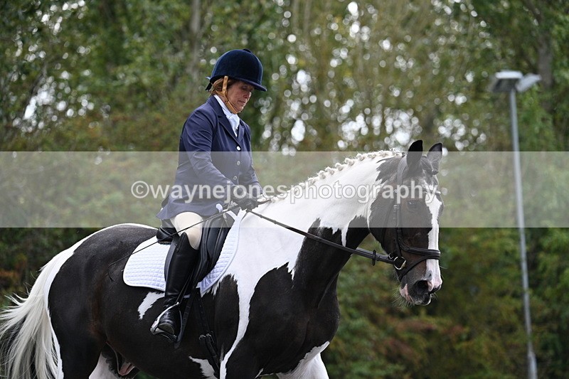 WJ7_3488 - Time 09:54 to 10:54