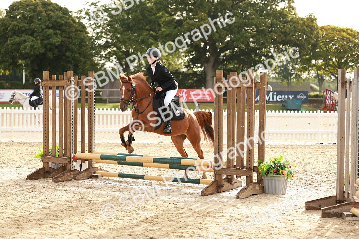 SBM_55677 - J11 - Junior Pony 50cm Championship