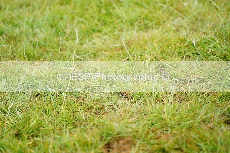 240630X-101912-5396 - 302-Molly_Frampton-OBSIDIAN_ROYALE