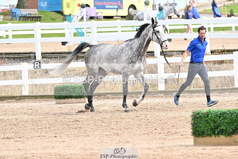 240717A-164232-03481 - Trot Up 4pm to 5pm