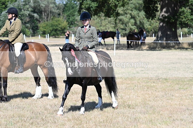 WJ7_4133 - Class 9 Mountain & Moorland Ridden