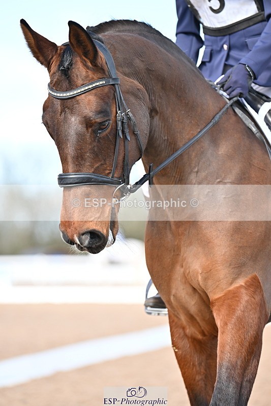 240324A-134309-03474 - Novice 28, 13.00 to 14.00