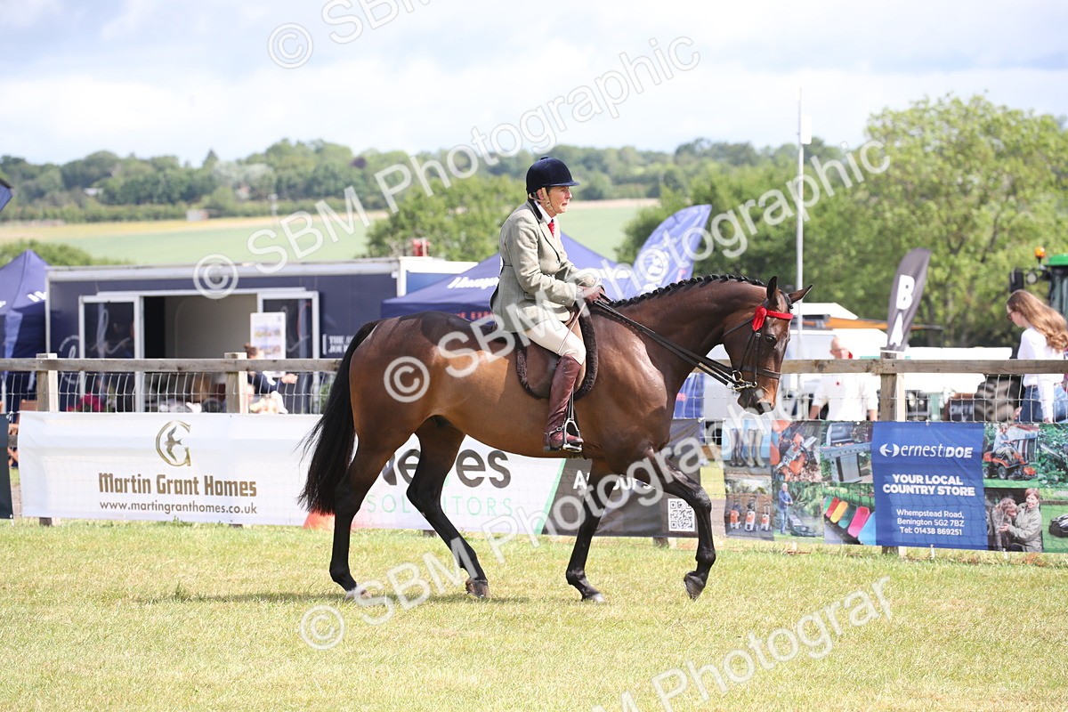 SBM_13196 - Class 95-96 - LIHS BSHA Rising Star Hack Riding Horse