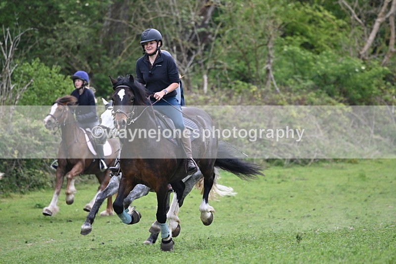 WJ6_3308 - A camera