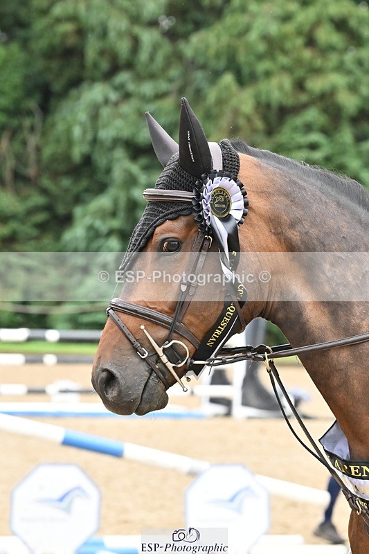 250706A-110336-17847 - Cls 47 5 Year Old Championships