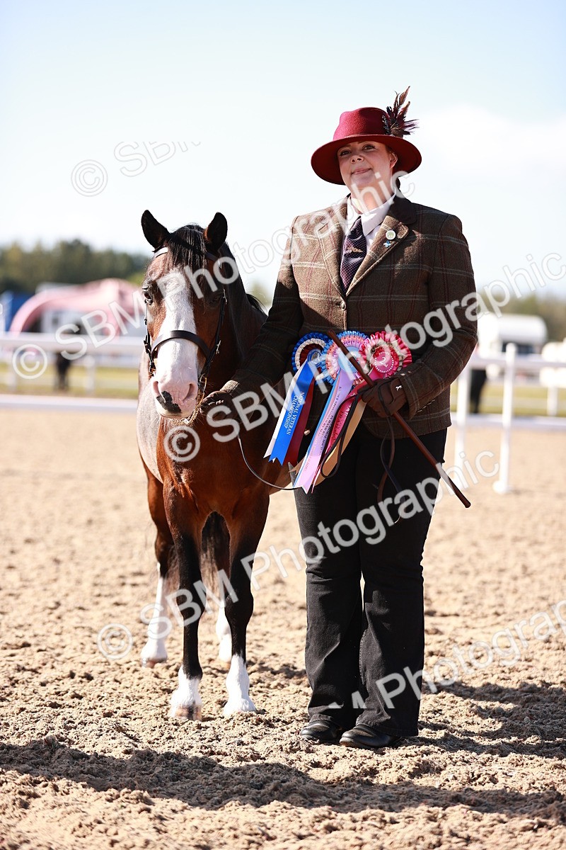 SBM_22735 - Class 704 - IH  Rescue