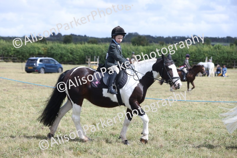 20250831-4187 - Class 20 - Ridden Coloured