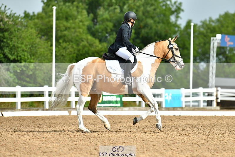 230708A-093708-02162 - Prelim 13