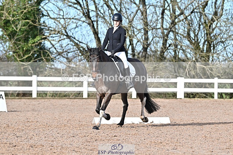 250125-104859-00243 - Dressage - CT Class 4 BE95 (80cm)