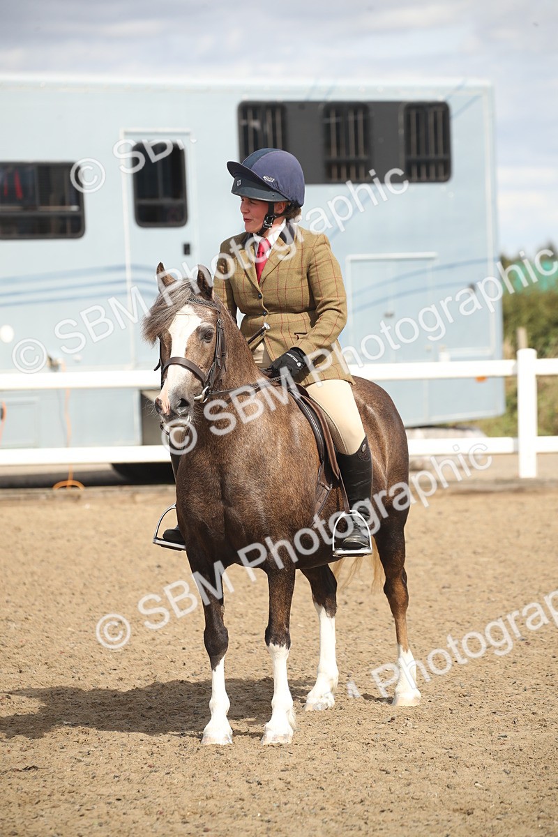 SBM_15179 - Class 505b - M&M Working Veteran - 50cm (20+)